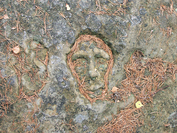 Rytina obličeje na jedné ze skal v Janovickém lese.