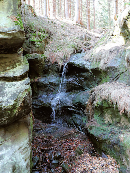 Kleine Wasserfall in Tal des Bielsbaches bei Kytlice (Kittlitz).