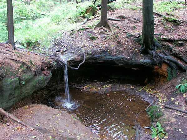 Malý vodopád v Míšeňském dolu pod Jedlovou.