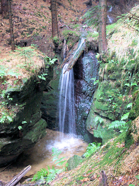 Větší vodopád v Míšeňském dolu pod Jedlovou.