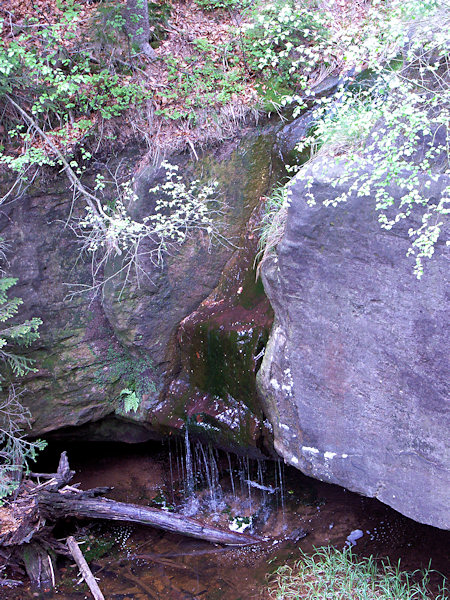 Bukový vodopád (Buchenwasserfall) bei Nová Huť (Neuhütte).