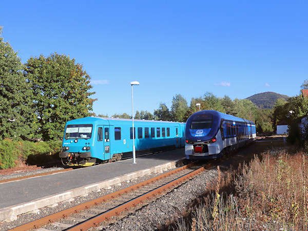 Křižování rychlíku Arrivy z Kolína do Rumburka s osobním vlakem ČD do Děčína ve stanici Chřibská.