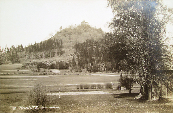 Tato pohlednice zobrazuje Zámecký vrch se zříceninou Kamenického hradu v 1. polovině 20. století, kdy byl kopec téměř holý.