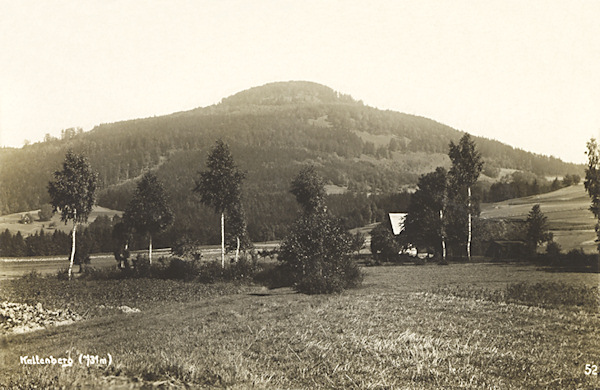 Diese Ansichtskarte zeigt das bewaldete Massiv des Studenec (Kaltenberg) von Lipnice (Limbach) aus gesehen.