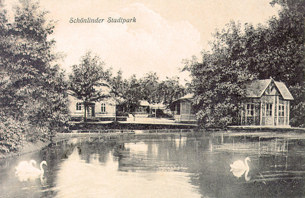 Auf dieser Ansichtskarte vom Anfang des 20. Jahrhundert sieht man den malerischen Teich im Stadtpark, der nach 1892 von Karl Dittrich an der Strasse nach Doubice erbaut worden ist.