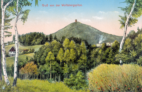 Pohlednice z roku 1916 zachycuje zalesněný vrchol Vlčí hory s rozhlednou od jihozápadu.