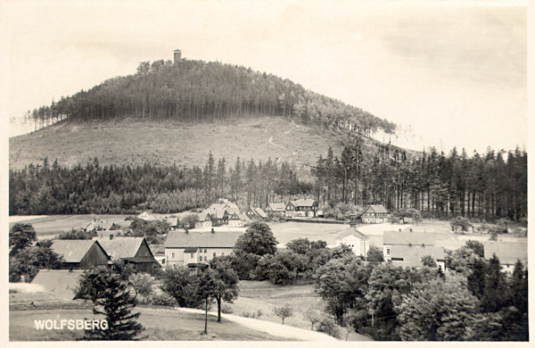 Na této pohlednici vidíme Vlčí horu s rozhlednou na vrcholu a s odlesněnými svahy po mniškové kalamitě v roce 1924. V popředí je střední část osady Vlčí Hora.