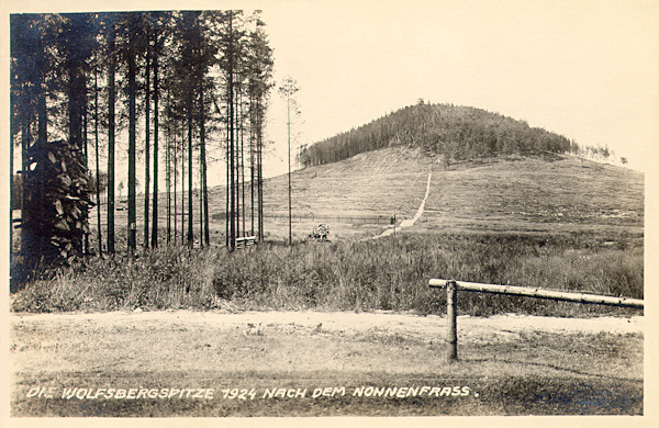 Tato pohlednice zachycuje Vlčí horu s odlesněnými svahy po mniškové kalamitě v roce 1924.