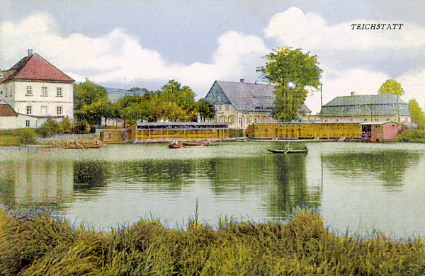 Diese Ansichtskarte zeigt die Umgebung des Schulteiches in der Mitte der 30er Jahre des 20. Jahrhunderts, als die Schule kein Türmchen mehr auf dem Dach hatte. Das Freibad verschwand nach 1945 und auch die Häuser hinter dem Teich wurden später abgerissen.