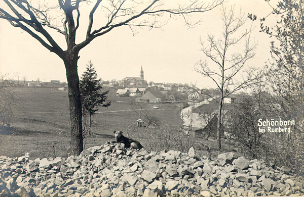 Auf dieser Ansichtskarte aus dem Jahr 1916 sieht man die Gemeinde mit der Kirche des hl. Franz Seraph. vom Waldrand oberhalb der Strasse nach Varnsdorf.
