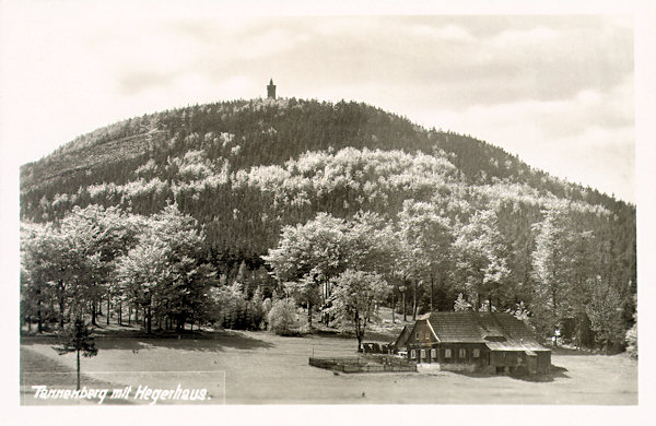 Auf dieser Ansichtskarte sieht man die breite Kuppe des Jedlová-Berges (Tannenberg) mit dem 1891 eröffneten Aussichtsturm. Im Vordergrund ist das ehemalige Hegerhaus, das älteste Haus der Ortschaft Jedlová (Tannendorf), das heute als „Ranch 7D“ bekannt ist.