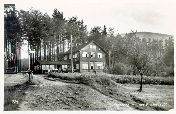 Die Ansichtskarte aus der Zwischenkriegszeit zeigt die heute noch stehende Pfeiferova bouda (Pfeifers Baude) am Rande des Dorfes Jedlová (Tannenberg).