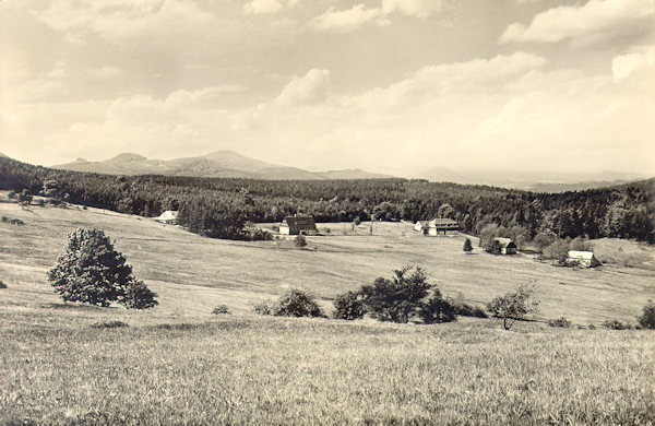 Auf dieser Ansichtskarte aus der Nachkriegszeit sehen Sie die Häuser an der Westseite des Dorfes Jedlová (Tannenberg). Die Hügelgruppe im Hintergrund übersteigt Studenec.