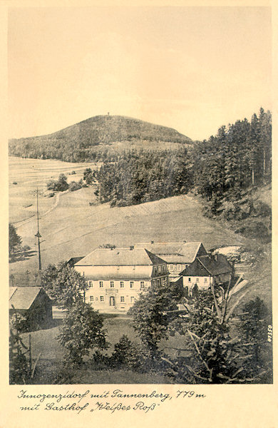 This picture postcard from the end of the thirties of the 20th century shows the former inn „Weisses Ross“, which up to now is standing in the lowar part of the village. In the background we see the Jedlová-peak.