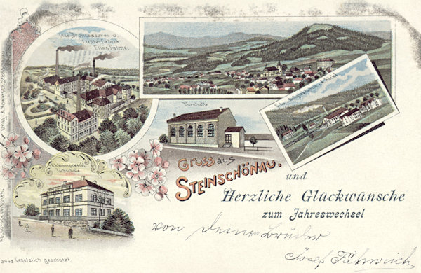 Na pohlednici Kamenického Šenova z roku 1898 vidíme vedle celkového pohledu na město areál továrny na lustry Eliase Palmeho. Na malých obrázcích je vpravo sklárna Adolfa Rückla u nádraží, uprostřed budova tělocvičny a vlevo dole sklářská uměleckoprůmyslová škola.
