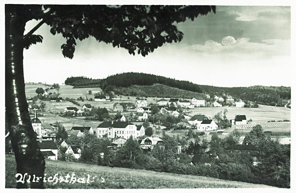 Na této pohlednici vidíme střední část Nového Oldřichova pod zalesněnou Krásnou horou. Domy s kostelem v popředí už ale patří k Mistrovicím.