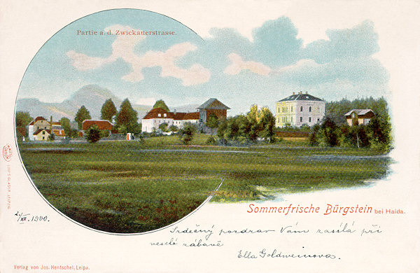 Na této pohlednici z konce 19. století vidíme domy na jižní straně cvikovské silnice. V pozadí je hora Klíč.