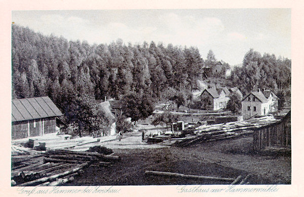 On this picture postcard from 1935 we see the village of Hamr from the east. In the foreground ist a part of the former Upper sawing mill, beneath of it stands the inn „Zur Hammermühle“ and on the rigth side there is the the Mitter's villa with the neighboring house. The gamekeeper's house between the wood belongs already to Horní Světlá.