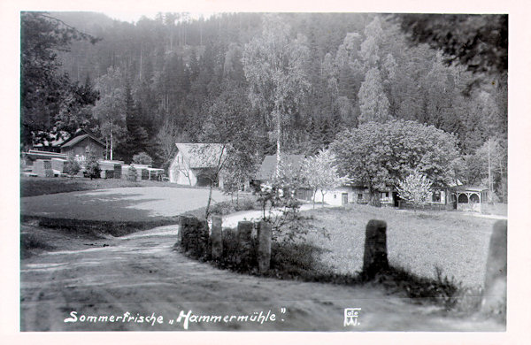 This picture postcard from the years between the Worl Wars shows the inn „Zur Hammermühle“ and the buildings of the upper sawing mill standing between the trees in the background.