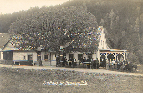 Auf dieser Ansichtskarte sieht man des ehemalige Gasthaus „Zur Hammermühle“.