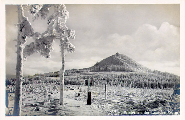 Tato pohlednice zachycuje zimní náladu na temeni hraničního hřebene západně od Luže.