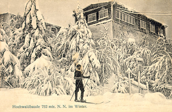 Zimní pohlednice Hvozdu zachycuje starou saskou chatu na jižním vrcholu. Vlevo je stromy zakrytá bývalá česká chata.