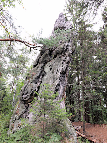 In der Umgebung von Horní Sedlo (Pass) ist die Linie der Lausitzer Störung morphologisch deutlich ausgeprägt. Die ursprünglich waagerecht gelagerten Sandsteinschichten wurden stellenweise bis fast in die senkrechte Lage aufgerichtet.