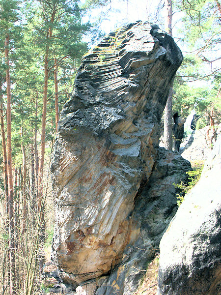 Dutý kámen pres de Cvikov. On peut y voir une démonstration unique de désagrégation de gres aux colonnes.
