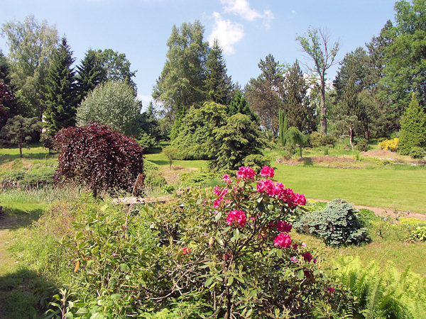 Blick auf den oberen Teil von Fritsches Arboretum.