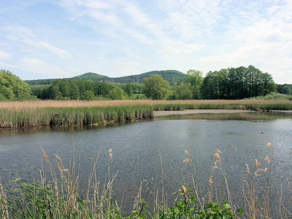 Výroční rybník je největším ze čtyř rybníků v osadě.