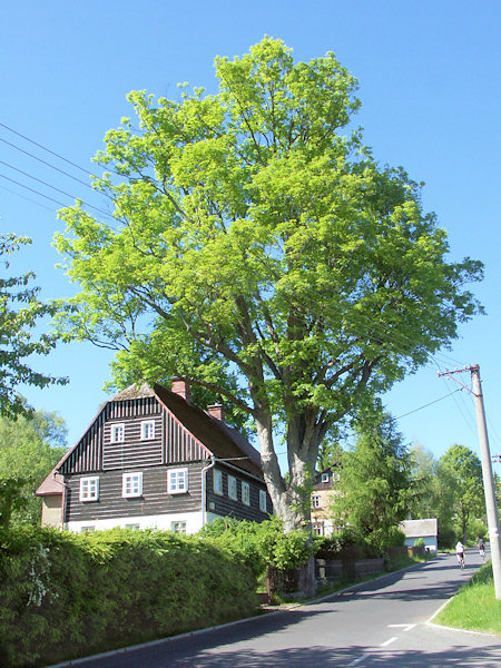 Mehrstöckiges Haus am unteren Ende des Ortes an der Straße aus Krompach (Krombach).