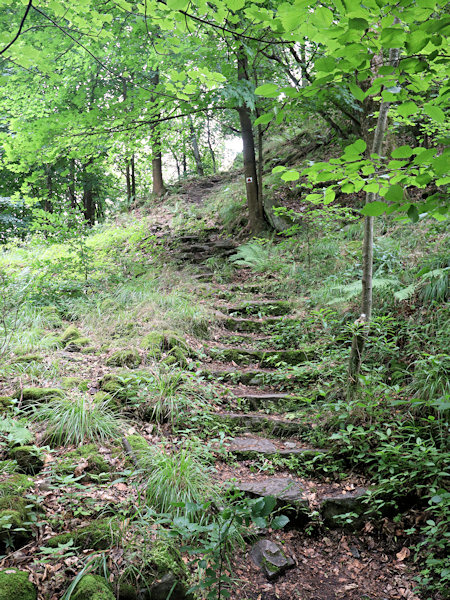 Die Steintreppe zum Gipfel der Pustý zámek.