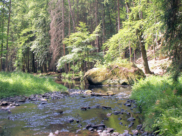 Bachlauf der Chřibská Kamenice im Pavlínino údolí.