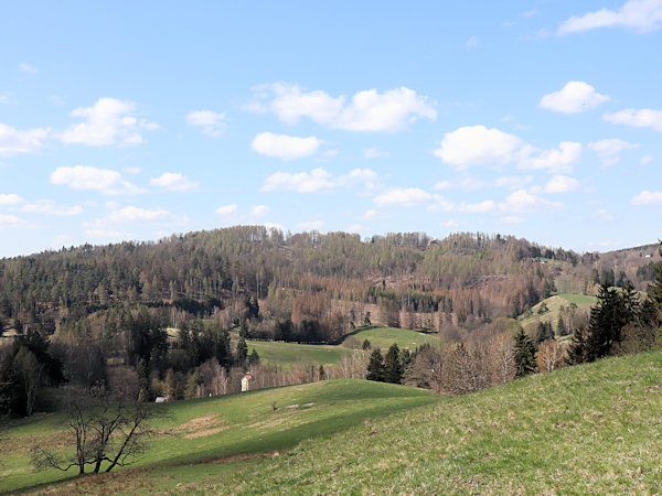 Pohled na ploché temeno Kamenného vrchu od jihovýchodu.