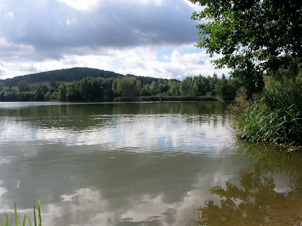 Blick auf den Teich von der Westseite.