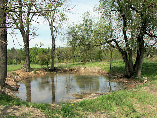 Kleiner Teich an der südwestlichen Seite der Anhöhe.