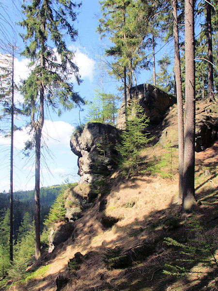 Jezevčí kámen (Dachsstein) am Hange des Čertova pláň (Teufelsplan).