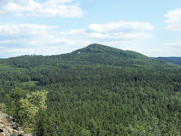 Pohled na Javor od Chřibského vrchu.