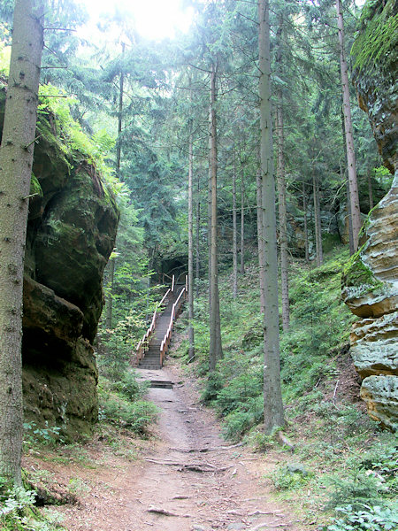 Waldweg mit Treppe zum Oratorium.