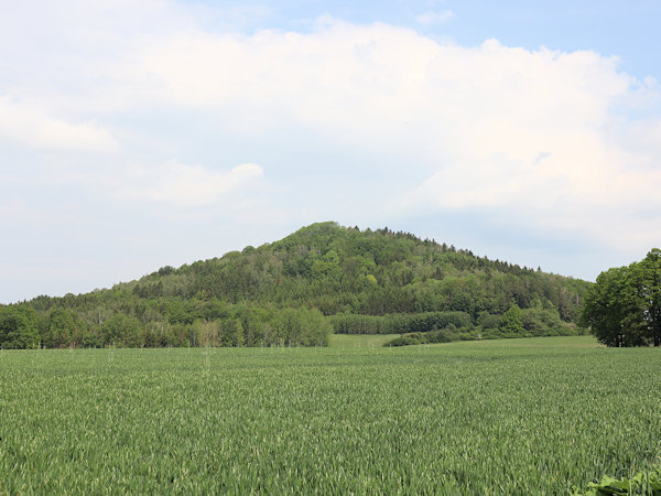 Pohled na Brnišťský vrch od jihu.