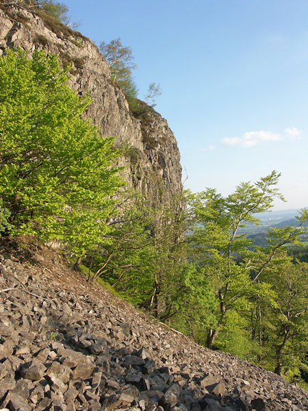 Felswand am Südwestabhang mit Steinschutthalde.