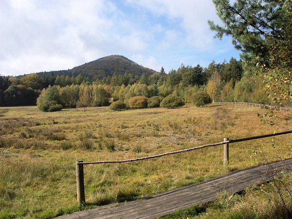 Blick vom am Feuchtgebiet entlang führenden Weg, der auf den höchsten Berg Luž (Lausche) führt.