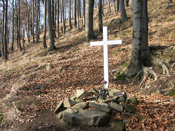 Kříž, připomínající havárii německého letadla Heinkel 111 na jihovýchodním svahu Luže 10. února 1945.