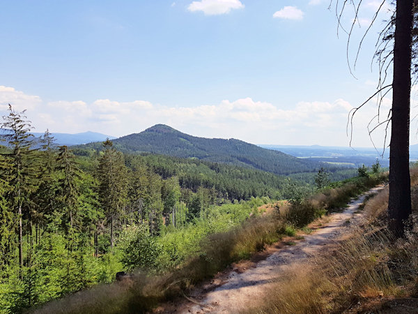 Nachdem der Wald gerodet wurde, bietet der Korseltweg schöne Aussichten auf Sokol (Falkenberg) und weiter südlich.