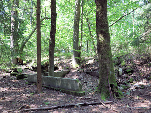 Zbytky základů bývalé hájovny dnes překrývá les.
