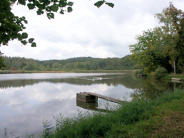 Blick auf Valtinovský Nový rybník (Neue Waltner Teich).