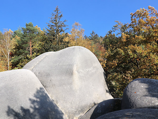 Die abgerundeten Gipfelformen der Bílé kameny (Weissen Steine).