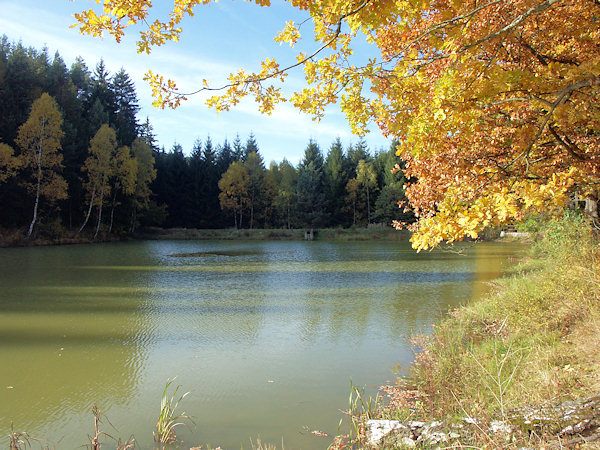 Zadní Janovický rybník (Hinterer Tellenteich).
