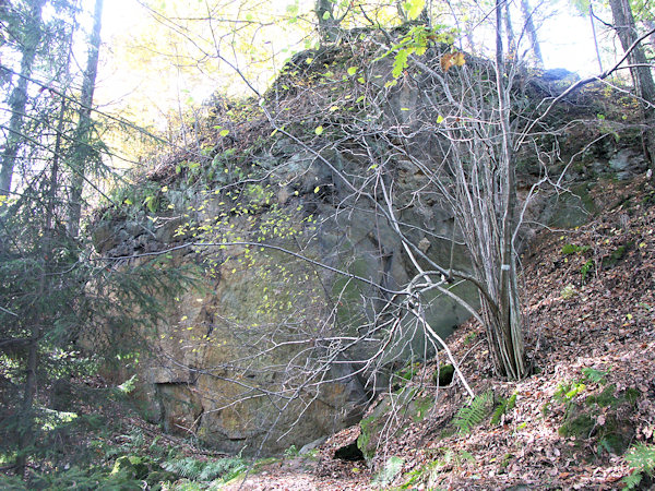 Die Wand des Steinbruchs am Medový vrch (Honigberg) ist heute von Waldbewuchs bedeckt.