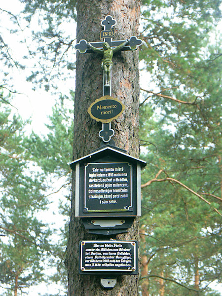 Das Kreuz zur Erinnerung an Katharina Pietsch an der Mordkiefer.